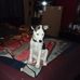 Joseph Tomczyk - Facebook