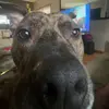 joseph_torres17 - @joseph_torres170 - TikTok
