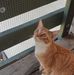 Joseph Toups - Facebook
