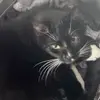 Joseph Townson - @joseph.townson - TikTok