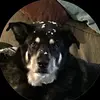 Joseph Trigg - @joseph.trigg - TikTok