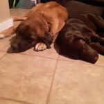Joseph Trimmer - @josephtrimmer0 - Instagram