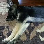 Joseph Trinkle - @joetrinkle - Instagram