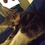 Joseph Triolo - @triolo_joe - Instagram