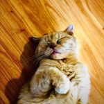Joseph Tsui - @joe_t0537 - Instagram