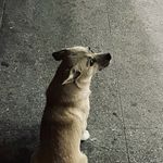 Joseph Tsui - @tsui2279 - Instagram