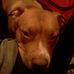 Joseph Tupper - Facebook