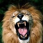 Joseph Turman - Facebook