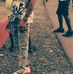 Tyson Joseph - Facebook