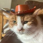 Joseph underhill - @joseph.du6 - Instagram
