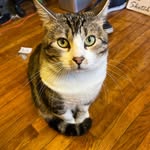 Joseph Vanderhorst - @jaspermouth - Instagram