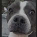 Joseph Vanhook - Facebook