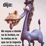 Joseph R Veloz - @velozjosephr - Instagram