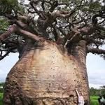 Joseph Richmond Vida - @josephvida - Instagram