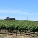 Denis Hyatt - @josephchristyvineyard - Instagram