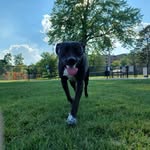 Joey - @joseph.voss1 - Instagram
