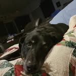 Joseph Waldner - @joseph.waldner.773 - Instagram