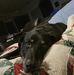 Joseph Waldner - Facebook