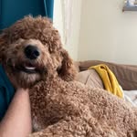 Joseph Wash - @wash.joseph - Instagram