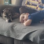 Joseph Weddle - @jweddle625 - Instagram