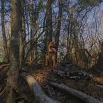 Joseph Weidner - Facebook
