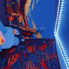 josephwentz0 - @joey.films - TikTok