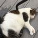 Joseph Westcott - Facebook