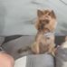Joey Westerman - Facebook