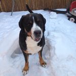 @joseph.westhoff - Instagram