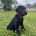 Joseph Witherington - Facebook