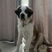 Joe Wigfall - Facebook