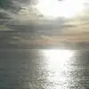 josephawigfallii - @josephawigfallii - TikTok