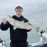 Joseph Wilfong - @il2epulse - Instagram