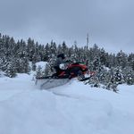 Joseph Wipf - @wipfjoseph - Instagram
