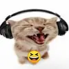 Joseph - @josephwright321 - TikTok