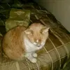 Joseph Wright - @joseph.wright74 - TikTok