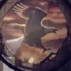 Joseph Yoder - @josephyoder556 - TikTok