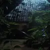 Josephyule - @stoneyule254 - TikTok