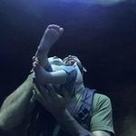 Joseph A Zerbe - @zoomechanic - Instagram