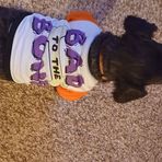 Joseph Zych - Facebook