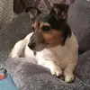 Jo - @josephine.appleton - TikTok