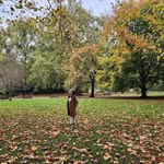 Josephine Augustine - @jo_augustine - Instagram