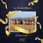 Joséphine Bauer - @la_bullrotteam_68 - Instagram