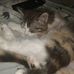 Josephine Beebe - Facebook