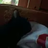 Josephine Cartwright - @josephine.cartwright - TikTok