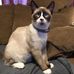 Josephine Cogan - Facebook