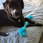 Josephine Cooley - Facebook
