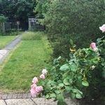 Josephine Corcoran - @allweathergarden - Instagram