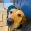 JosephineDolan - @josephinedolan123 - TikTok
