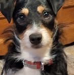 Josie Dutton - Facebook